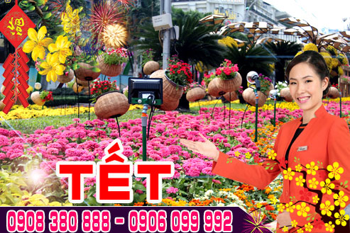 Đặt mua vé máy bay tết Jetstar trên đường Nguyễn Ảnh Thủ
