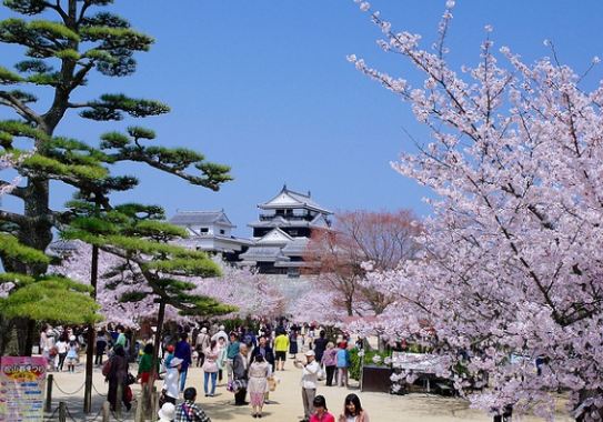 9 câu nói tiếng Nhật cần biết khi đi du lịch Nhật Bản