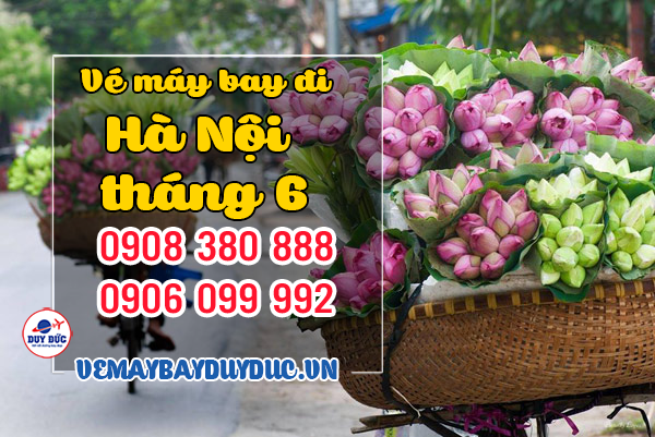  Nhu cầu book vé máy bay hãng Vietnam Airlines đi Hà Nội