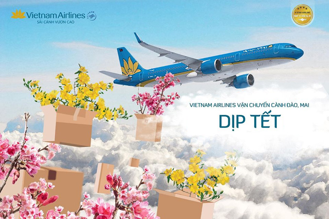 Tết đi máy bay Vietnam Airlines có đem theo cây hoa đào được không?