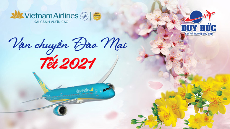 Vietnam Airlines vận chuyển đào, mai dịp Tết Tân Sửu 2021